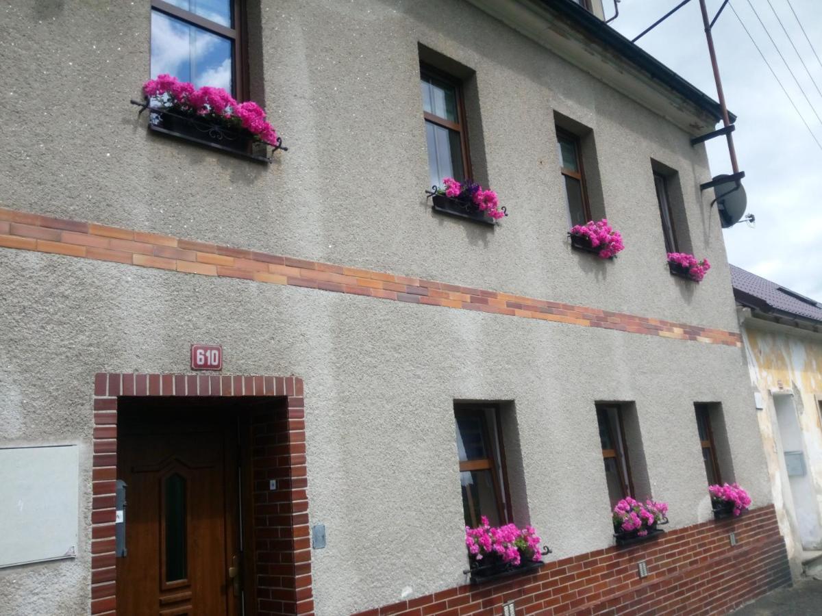 Apartman Albreit 1 Jáchymov Buitenkant foto