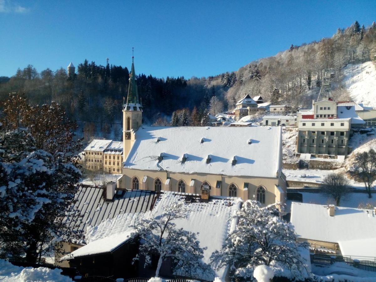 Apartman Albreit 1 Jáchymov Buitenkant foto
